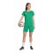 adidas Entrada 26 Short Damen Grün - gruen