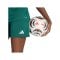 adidas Entrada 26 Short Damen Grün - gruen
