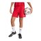 adidas Entrada 26 Short Damen Rot - rot