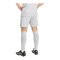 adidas Entrada 26 Short Grau - grau