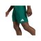 adidas Entrada 26 Short Grün - gruen