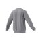 adidas Entrada 26 Sweatshirt Grau - grau