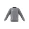 adidas Entrada 26 Sweatshirt Kids Grau - grau