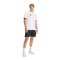 adidas Entrada 26 T-Shirt Weiß - weiss