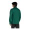 adidas Entrada 26 Training Sweatshirt Grün - gruen