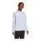 adidas Entrada 26 Training Sweatshirt Kids Grau - grau