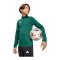 adidas Entrada 26 Training Sweatshirt Kids Grün - gruen