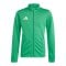 adidas Entrada 26 Trainingsjacke Kids Grün - gruen