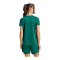 adidas Entrada 26 Trikot Damen Grün - gruen