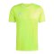 adidas Entrada 26 Trikot Gelb - gelb