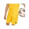 adidas Entrada 26 Trikot Kids Gelb - gelb