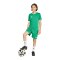 adidas Entrada 26 Trikot Kids Grün - gruen