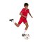 adidas Entrada 26 Trikot Kids Rot - rot