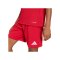 adidas Entrada 26 Trikot Kids Rot - rot