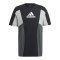 adidas Sportswear Essentials Colorblock T-Shirt Schwarz - schwarz