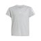adidas Essentials T-Shirt Kids Grau - grau