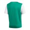 adidas Estro 19 Trikot kurzarm Kids Grün Weiss - gruen