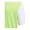 adidas Estro 19 Trikot kurzarm Kids Hellgrün Weiss - gruen