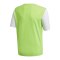 adidas Estro 19 Trikot kurzarm Kids Hellgrün Weiss - gruen