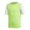 adidas Estro 19 Trikot kurzarm Kids Hellgrün Weiss - gruen