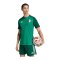 adidas FAF Algerien Trikot Away WM 2026 Grün - gruen