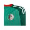 adidas FAF Algerien Trikot Away WM 2026 Kids Grün - gruen