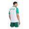 adidas FAF Algerien Trikot Home WM 2026 Weiß - weiss
