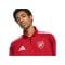 adidas FC Arsenal London Anthem Jacke Rot - rot