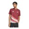 adidas FC Arsenal London Graphic T-Shirt Rot - rot