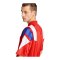 adidas FC Bayern München EQT Trikot Rot - rot