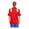 adidas FC Bayern München EQT Trikot Rot - rot