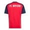 adidas FC Bayern München Pre Match Trikot 2026/2027 Rot - rot