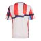 adidas FC Bayern München Prematch T-Shirt 2025/2026 Kids Blau - blau