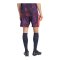 adidas FC Bayern München Short 3rd 2026/2027 Mehrfarbig - mehrfarbig