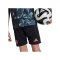 adidas FC Bayern München Short Away 2024/2025 Kids Schwarz - schwarz