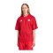 adidas FC Bayern München Stadium Trikot Rot - rot