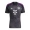 adidas FC Bayern München Trikot Away 2023/2024 Schwarz - schwarz