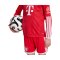 adidas FC Bayern München Trikot Langarm Home 2026/2027 Kids Rot - rot