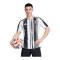 adidas Juventus Turin Authentic Trikot Home 2025/2026 Weiß - weiss