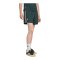 adidas Juventus Turin Icon Short Grün - gruen