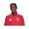 adidas FC Liverpool Anthem Jacke Rot - rot