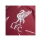 adidas FC Liverpool Authentic Trikot Home 2026/2027 Rot - rot