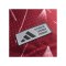 adidas FC Liverpool Authentic Trikot Home 2026/2027 Rot - rot