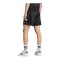 adidas FC Liverpool EQT Short Schwarz - schwarz