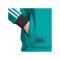 adidas FC Liverpool Icon Track Sweatshirt Grün - gruen