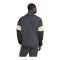 adidas FC Liverpool Lfstlr Track Sweatshirt Grau - grau