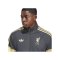 adidas FC Liverpool Lfstlr Track Sweatshirt Grau - grau