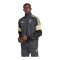 adidas FC Liverpool Lfstlr Track Sweatshirt Grau - grau