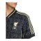 adidas FC Liverpool Lfstlr Trikot Grau - grau