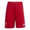 adidas FC Liverpool Trikot Set Home 2025/2026 Kids Rot - rot